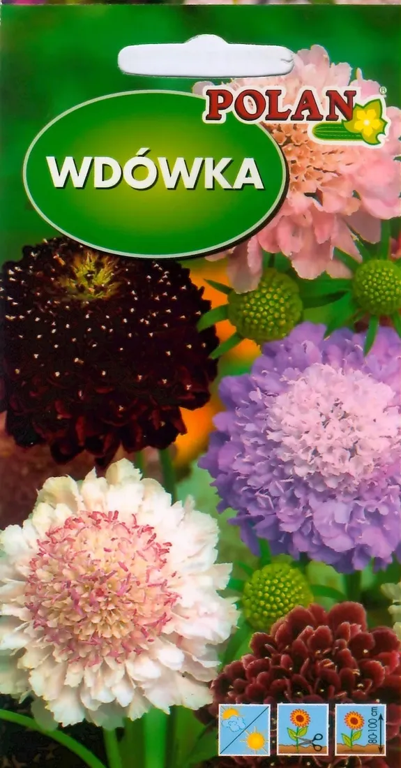 wdowka-mix-2g-polan