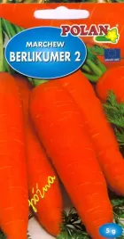 marchew-berlikumer-2-perfekcja-5g-nasiona-warzyw-polan