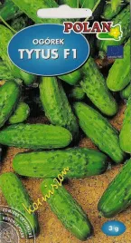 ogorek-f1-tytus-3g-nasiona-warzyw-warzywa