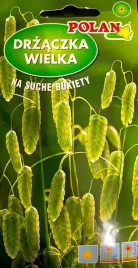 trawa-ozdobnna-drzaczka-wielka-1g-nasiona-na-suche-bukiety