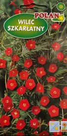 wilec-szkarlatny-1g-nasiona-kwiatow-czerwony