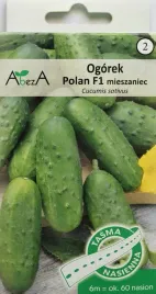 ogorek-polan-f1-miesz-nasiona-na-tasmie-6-metrow