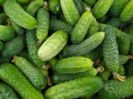ogorek-konserwowy-sremski-f1-65g-nasiona-warzyw