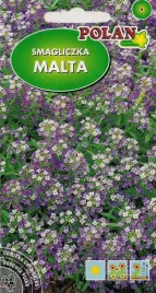 smagliczka-malta-liliowa-1g-nasiona-kwiatow