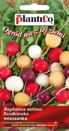rzodkiewka-mieszanka-odmian-kolorowych-5g-nasiona
