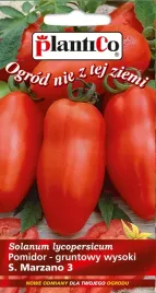 pomidor-gruntowy-wysoki-s-marzano-3-plantico-02g