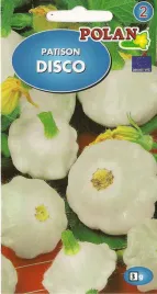 patison-disco-3g-nasiona-warzyw