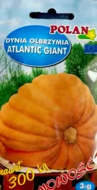 dynia-olbrzymia-atlantic-giant-3g-nasiona-warzyw