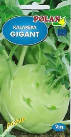 kalarepa-gigant-2g-nasiona-warzyw-polan