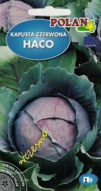 kapusta-czerwona-haco-1g-nasiona-warzyw-warzywa