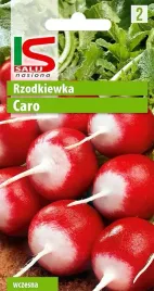 rzodkiewka-caro-10g-salnas-nasiona-warzyw-warzywa
