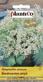 anyz-biedrzeniec-1g-aromatyczny-nasiona-plantico