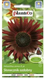 slonecznik-ozdobny-ciemnoczerwony-2g-plantico