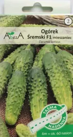 ogorek-sremski-f1-miesz-nasiona-na-tasmie-6-metrow