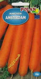 marchew-amsterdam-5g-nasiona-warzyw-warzywa