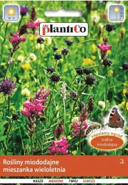 rosliny-miododajne-mieszanka-wieloletnia-10g-plan