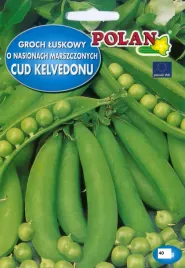 groch-luskowy-niski-cud-kelvedonu-40g-nasiona