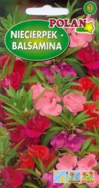 niecierpek-balsamina-2g-nasiona-kwiatow-polan