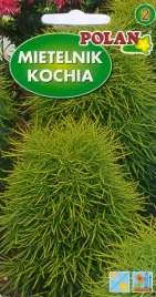 mietelnik-kochia-3g-nasiona-trawy-polan