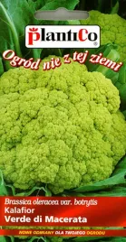 kalafior-zielony-romanesco-natalino-02g-nasiona-plantico