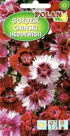 gozdzik-chinski-heddewigii-1g-nasiona-kwiatow