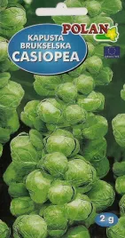 kapusta-brukselska-casiopea-2g-nasiona-warzyw