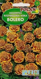 aksamitka-rozpierzchla-niska-bolero-1g-nasiona-kwiatow