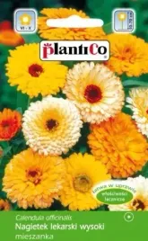 nagietek-lekarski-wysoki-2g-mieszanka-plantico