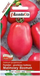 pomidor-gruntowy-karlowy-malinowy-bosman-05g-nasiona-warzyw-plantico