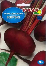 burak-cwiklowy-egipski-d-egypte-20g-nasiona-warzyw