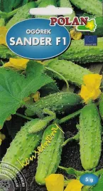 ogorek-sander-f1-5g-nasiona-warzyw-warzywa-okazja
