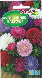 aster-chinski-karlowy-1g-nasiona-kwiatow