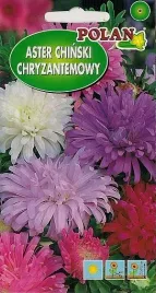 aster-chinski-chryzantemowy-1g-nasiona-kwiatow