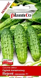 ogorek-konserwowy-rejent-mieszaniec-f1-5g-plantico
