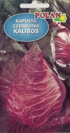 kapusta-czerwona-kalibos-1g-nasiona