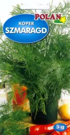 koper-szmaragd-5g-nasiona-warzyw-warzywa