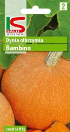 dynia-olbrzymia-bambino-5g-salnas-nasiona-warzywa