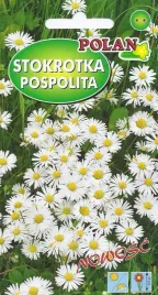 stokrotka-pospolita-biala-02g-nasiona-polan
