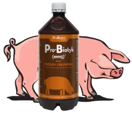 probiotyk-dla-trzody-i-swin-mieszanka-paszowa-prawidlowy-przyrost-wagi-1l