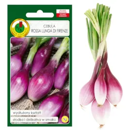 cebula-rossa-lunga-di-firenze-nasiona-bez-gmo