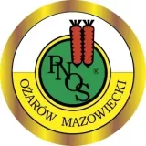 cebula-rossa-lunga-di-firenze-nasiona-bez-gmo-styl-ogrod-wiejski