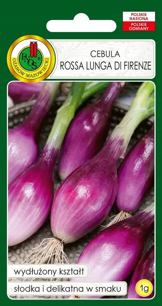 cebula-rossa-lunga-di-firenze-nasiona-bez-gmo-cykl-rozwojowy-rosliny-jednoroczna