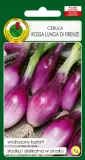 cebula-rossa-lunga-di-firenze-nasiona-bez-gmo-cykl-rozwojowy-rosliny-jednoroczna