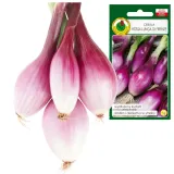 cebula-rossa-lunga-di-firenze-nasiona-bez-gmo-marka-pnos