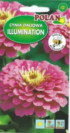 cynia-daliowa-illumination-1g-nasiona-kwiatow-polan