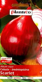 cebula-sredniopozna-scarlet-5g-nasiona-warzyw