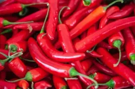 papryka-rokita-05g-nasiona-ozarow-warzywa