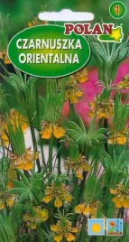 czarnuszka-orientalna-na-suche-bukiety-2g-nasiona