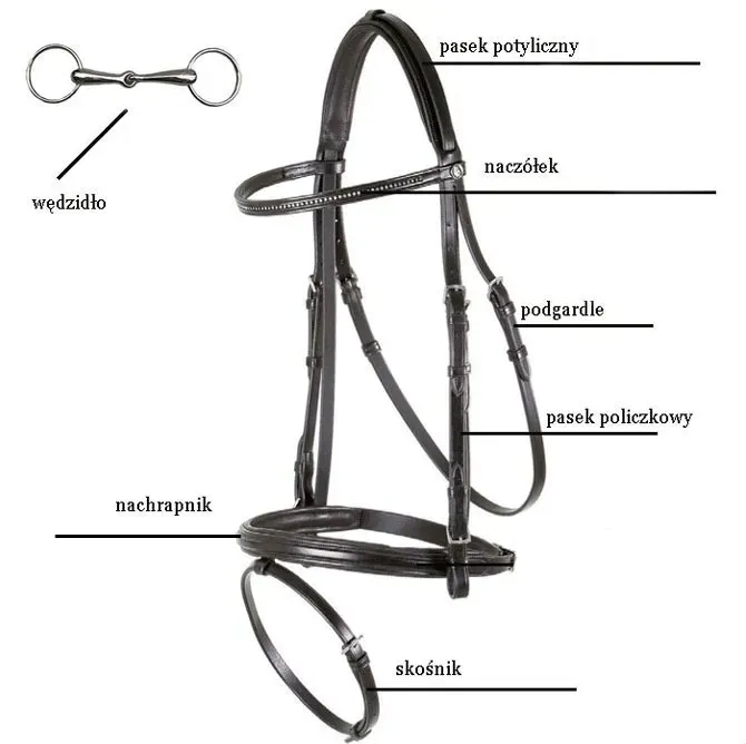 pasek-krzyzowy-york-full-76cm-hs-stan-nowy