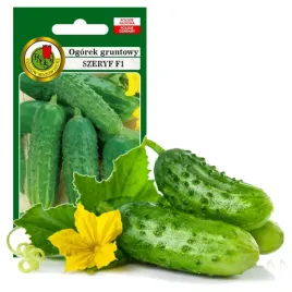 ogorek-gruntowy-szeryf-wczesny-odporny-nasiona-bez-gmo